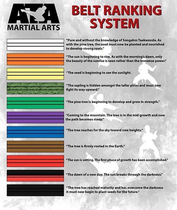 Martial Arts Ranks and Titles