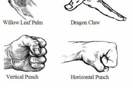 The Artistry in Hands: Understanding Martial Arts Hand Positions