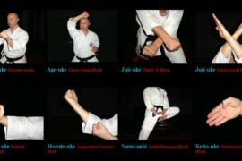 From Blocks to Kicks: Exploring Karate Moves and Their Names