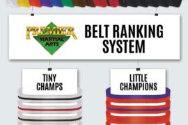 The Premier Path: Navigating Through Martial Arts Belt Ranks