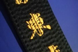 Ascending the Ranks: Understanding Shito Ryu Belt Order