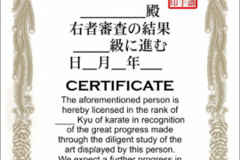 Crafting Excellence: Templates for Stunning Martial Arts Certificates